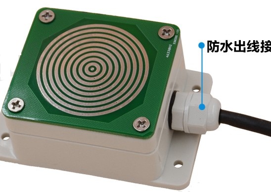 ��ѩ������